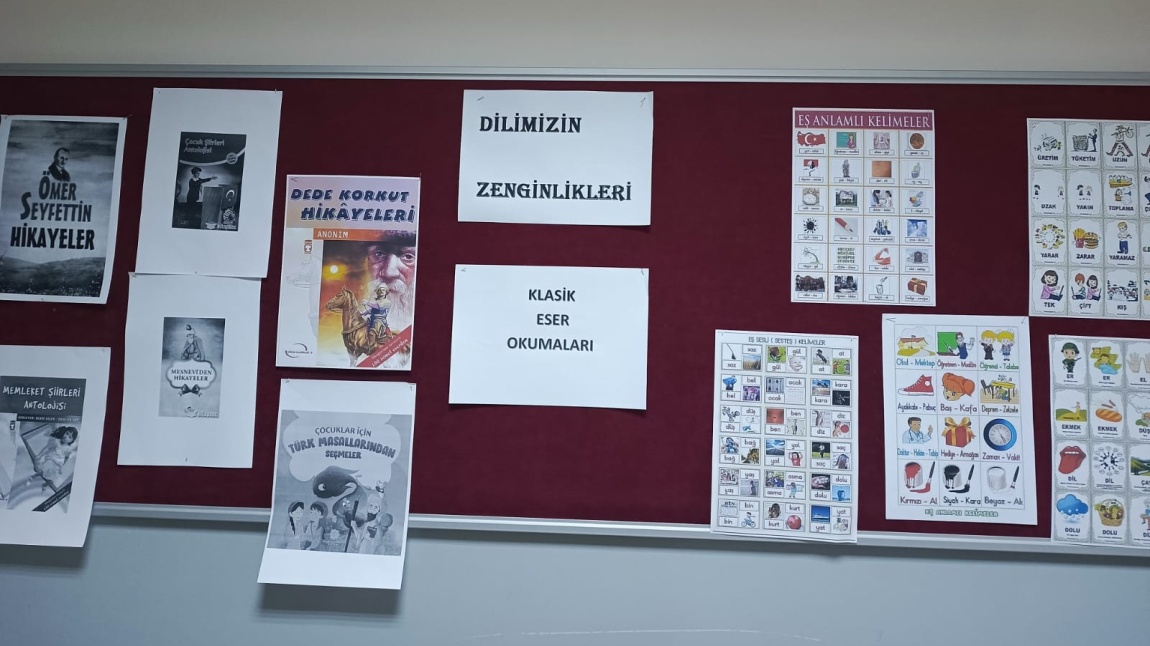 DİLİMİZİN ZENGİNLİKLERİ PROJESİ 